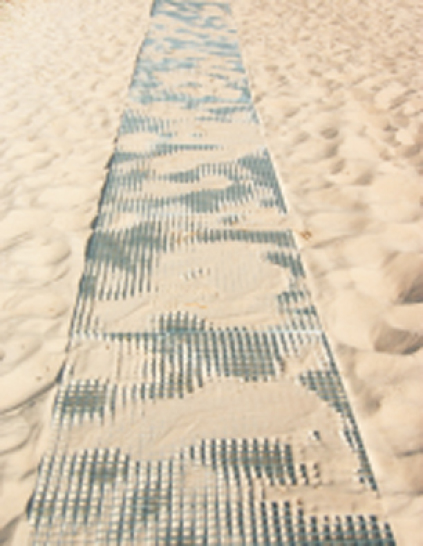 Strandriste giver en god trædeflade i sandet